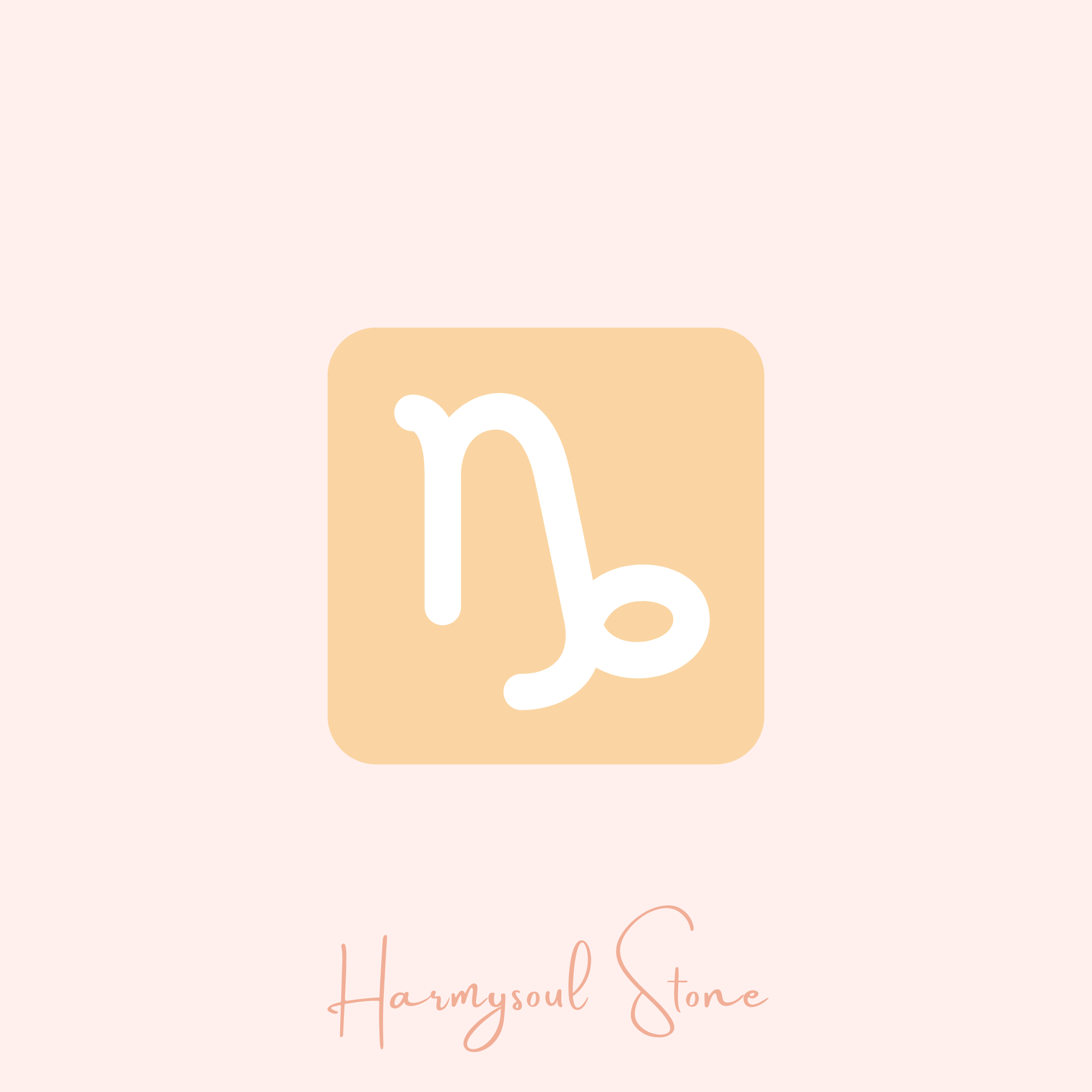 ♑ Capricorn