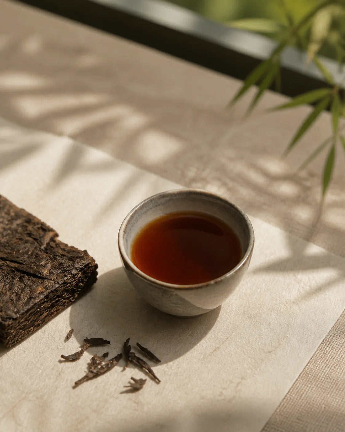 Moonlight Aged Dark Tea in a Chinese tea atmosphere