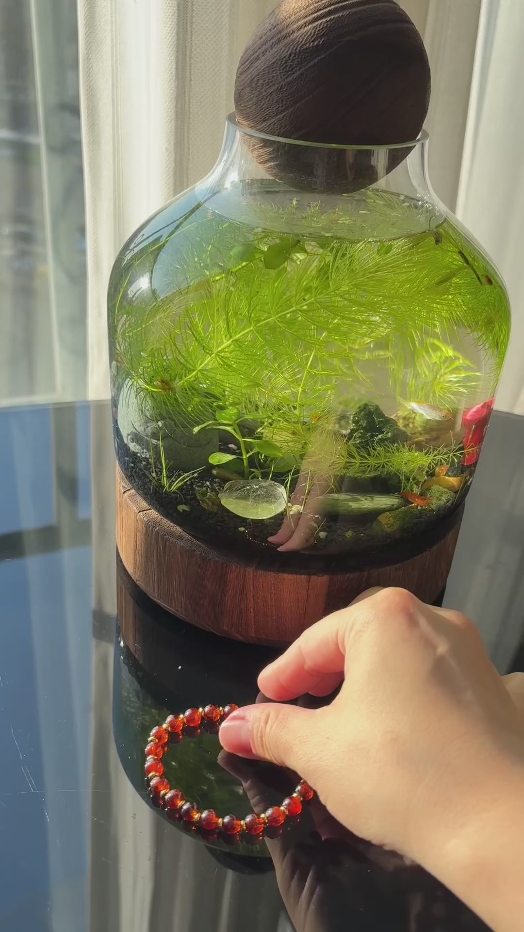 Vitality & Inner Strength – Red Agate Bracelet