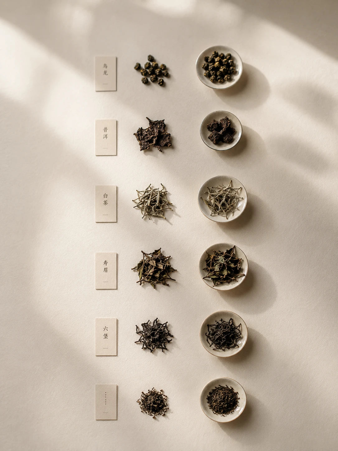 A library of Chinese tea leaves arranged in warm daylight