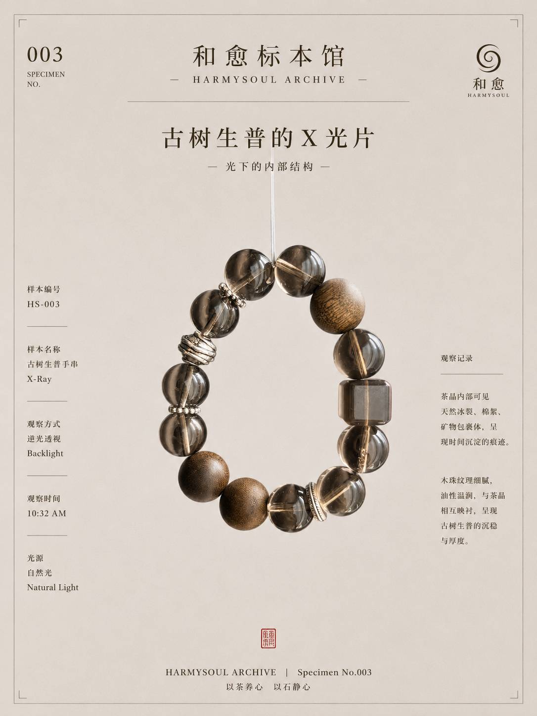 Ancient Tree Sheng Pu’er Museum X-Ray poster