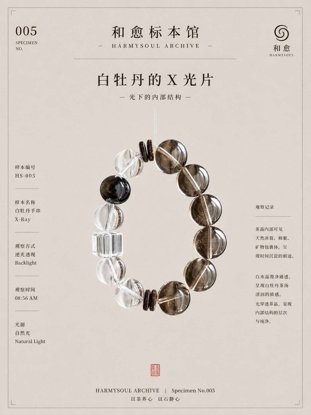 White Peony Museum X-Ray poster